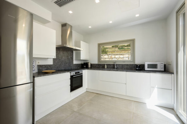 amalthea-120 amalthea-120